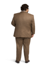 Light Brown Suit image number 3