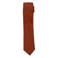 Cinnamon/Rust Long Tie