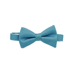 Turquoise Bow Tie image number 1