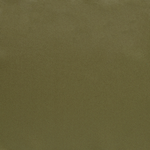 Kiwi Pocket Square image number 1