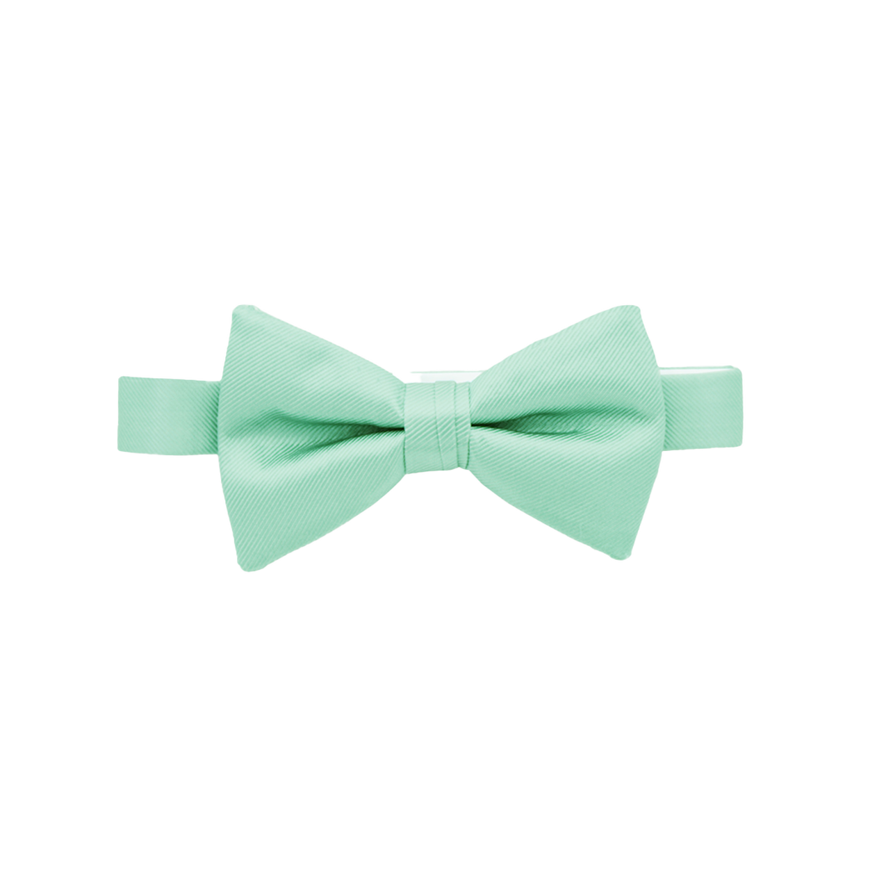 Aqua Bow Tie image number 1