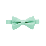 Aqua Bow Tie image number 1