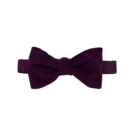Eggplant Velvet Bow Tie