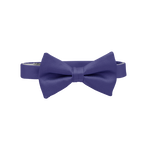 Morning Glory Bow Tie image number 1