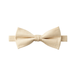 Tan Textured Bow Tie image number 1