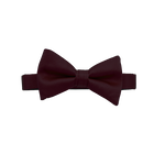 Eggplant Bow Tie image number 1