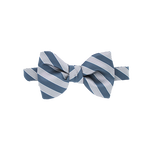Slate Blue and Cement Striped Bow Tie image number 1