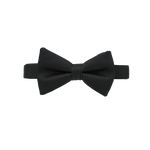 Black Bow Tie image number null