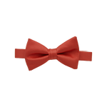 Sunset Bow Tie image number null