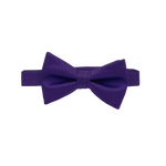 Blue Violet Bow Tie image number 1