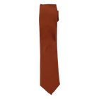 Cinnamon/Rust Long Tie