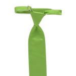 Lime Savvi Solid 4H Tie image number 1