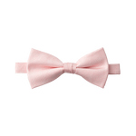 Blush Textured Bow Tie image number 1