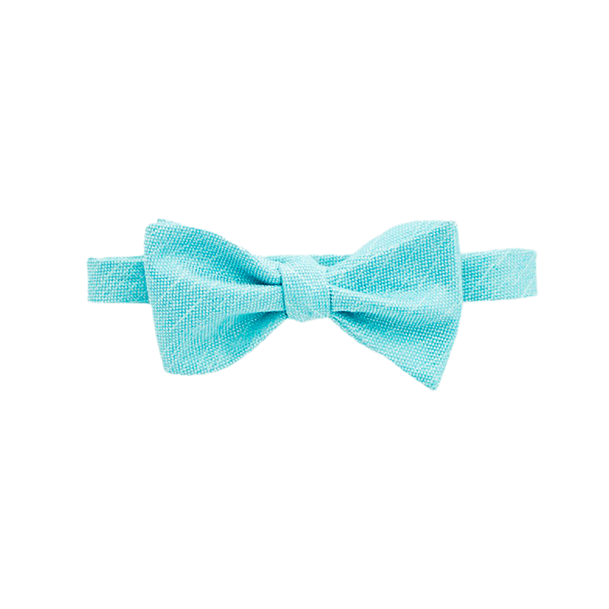 Aqua Matte Bow Tie image number 1