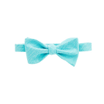 Aqua Matte Bow Tie image number 1